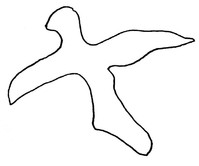 oiseau4